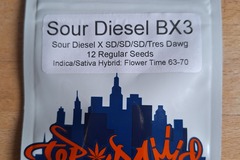 Sell: Top Dawg Seeds - Sour Diesel BX3