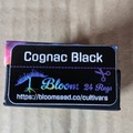 Venta: Cognac Black (Sour D x Sherbanger) - Bloom Seed Co / Boston Roots