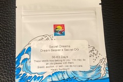 Sell: Secret Dreams (Dream Beaver x Secret OG) - Surfr Seeds