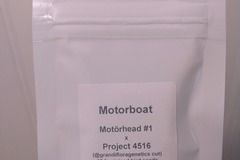 Sell: Lit Farms Motorboat