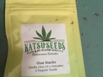 Vente: Katsu Seeds ( Glue Stacks)