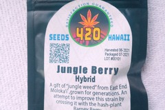 Vente: Seeds 420 Hawaii *Jungle Berry* Regular 10PK