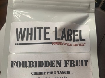 Vente: Forbidden Fruit