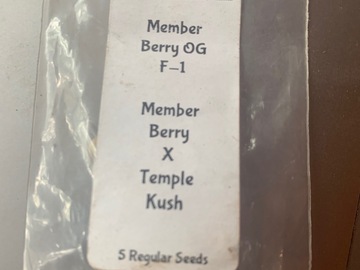 Venta: Member Berry x Temple Kush from Ethos