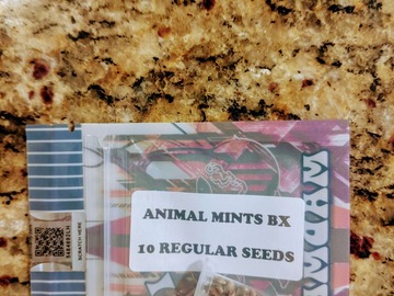 Vente: Tiki Madman - Animal Mints BX