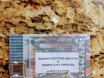 Vente: Tiki Madman - Peanut Butter Breath x Trop Cookies