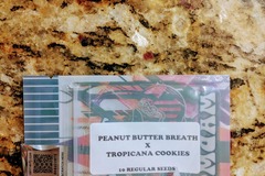 Vente: Tiki Madman - Peanut Butter Breath x Trop Cookies