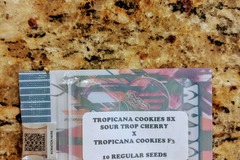 Venta: Tiki Madman - Tropicanna Cookies BX
