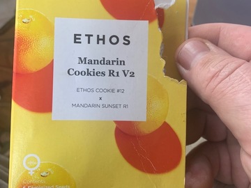 Ethos Mandarin Cookies