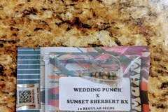 Venta: Tiki Madman - Wedding Punch x Sunset Sherb BX