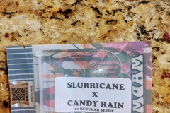 Sell: Tiki Madman - Slurricane X Candy Rain