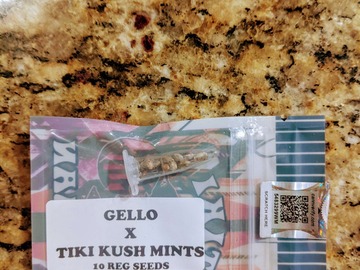 Vente: Tiki Madman - Gello x Tiki Kush Mints