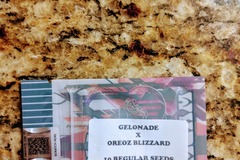 Sell: Tiki Madman - Wizard Blizzard