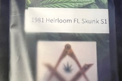Vente: Original 1981 Heirloom FL Skunk S1