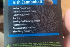Sell: Irish Cannonball from Exotic