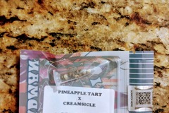 Sell: Tiki Madman - Pineapple Tart x Creamsicle