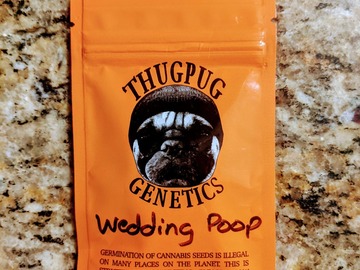 Sell: Thug Pug - Wedding Poop