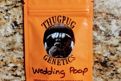 Venta: Thug Pug - Wedding Poop