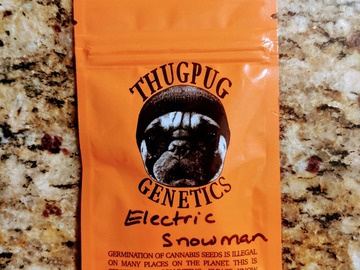 Sell: Thug Pug - Electric Snowman