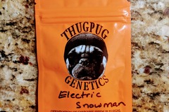Venta: Thug Pug - Electric Snowman