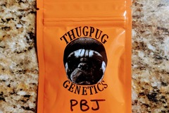 Sell: Thug Pug - Peanut Butter & Jelly