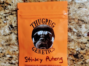 Vente: Thug Pug - Stinky PuTang