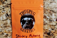 Sell: Thug Pug - Stinky PuTang
