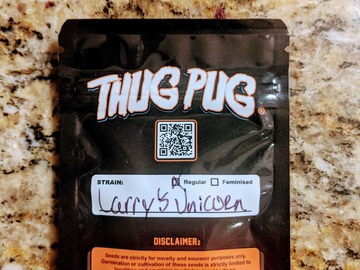Vente: Thug Pug - Larry's Unicorn