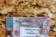 Venta: Tiki Madman - Sundae Driver x Creamsicle