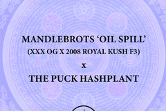 Sell: Mandlebrots 'Oil Spill' x THE PUCK Hashplant