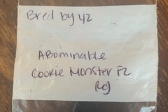 Vente: Abominable Cookie Monster F2