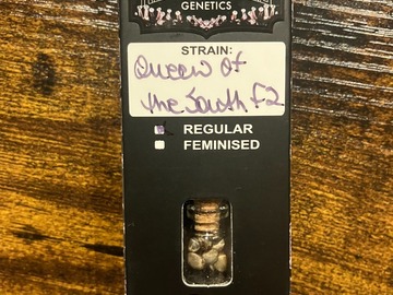 Sell: Queen of the South F2 from Relentless
