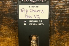Sell: Trop Cherry Gas V2 from Relentless