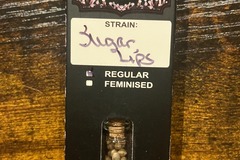 Sell: Sugar Lips from Relentless