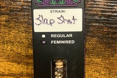 Sell: Slap Shot from Relentless