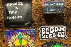 Venta: NEW Rainbow Push Pop from Bloom