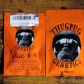 Sell: Thug Pug Collab #14