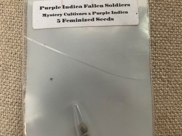 Sell: Purple  Fallen Soldiers