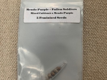 Sell: Mendo Purple Fallen Soldiers