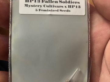 Sell: HP13 Fallen Soldiers