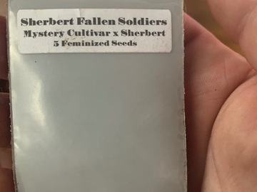 Venta: Sherbert Fallen Soldiers