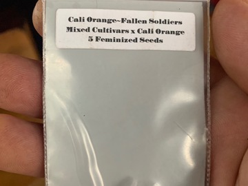 Sell: Cali Orange Fallen Soldiers