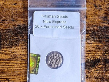 Vente: Kaliman Seeds Nitro Express 20+ Fem