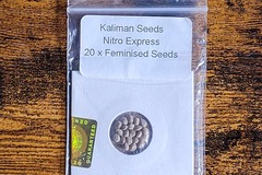 Vente: Kaliman Seeds Nitro Express 20+ Fem