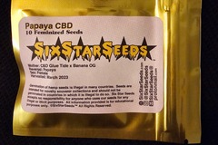 Venta: 6 Star Seeds Papaya CBD 10 pack Fems