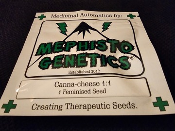 Vente: Mephisto Genetics Canna Cheese 1:1 2 Pack