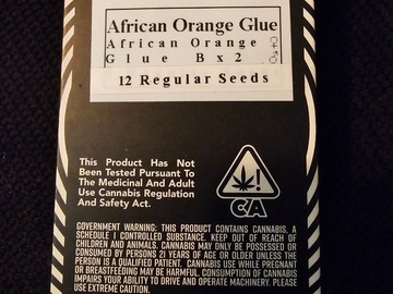 Vente: Equilibrium Genetics African Orange Glue 12+ pack