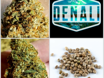Sell: SALE Denali Collection 10 Packs 108 Seeds