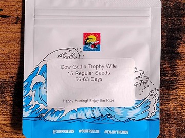 Vente: Surfr Seeds Cow God X Trophy Wife