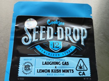 Venta: Compound Genetics/ Cookies- Laughing Gas x Lemon Kush Mints